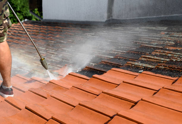 Best Deck Pressure Washing  in Fountainebleau, FL