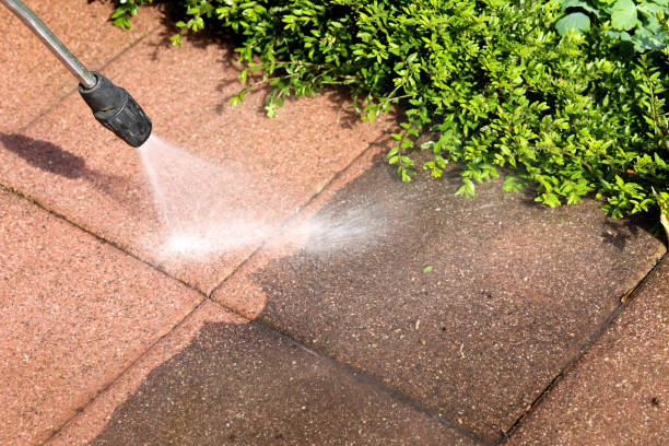Best Roof Power Washing Services  in Fountainebleau, FL